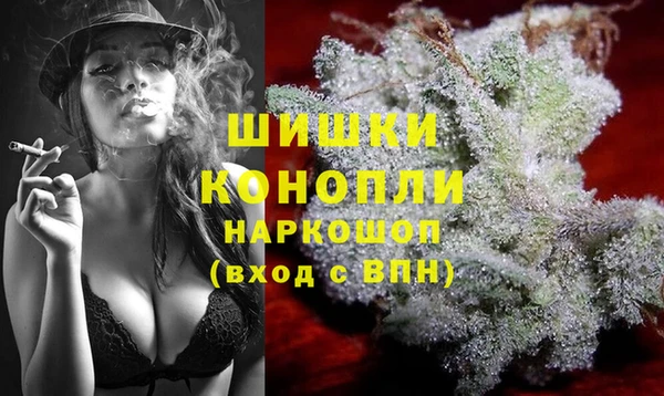 прущие крисы Михайловск